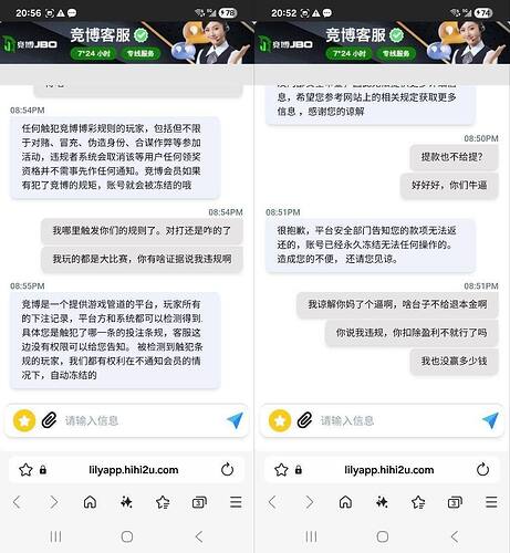 IMAGE 2025-11-17 20:47:38